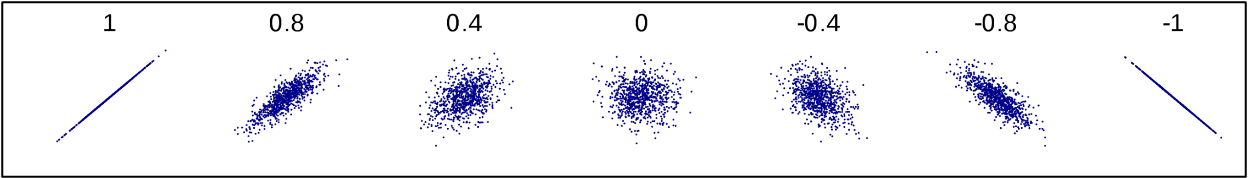 correlation.png